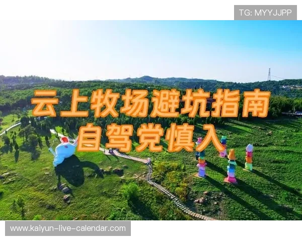 开云玩球走地技巧避坑指南数字高频玩法防骗